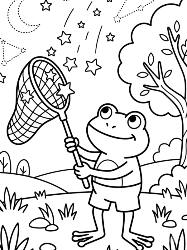 Frog Catching Falling Stars