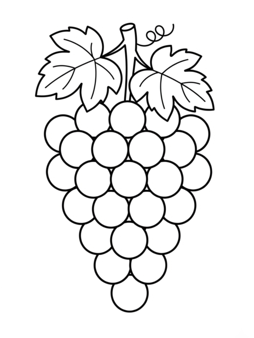 Grapes on the Vine