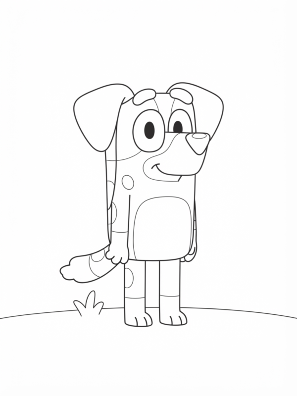 Mackenzie the Border Collie