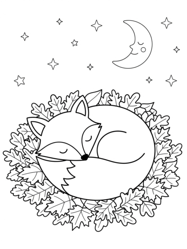 Sleepy Fox Curled Up in Leaves