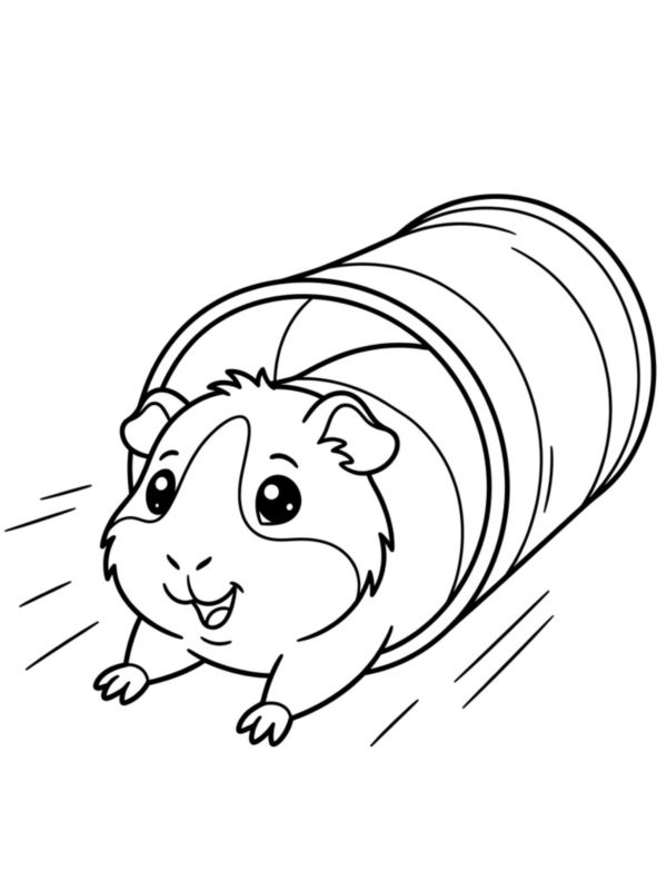 Tunnel Running