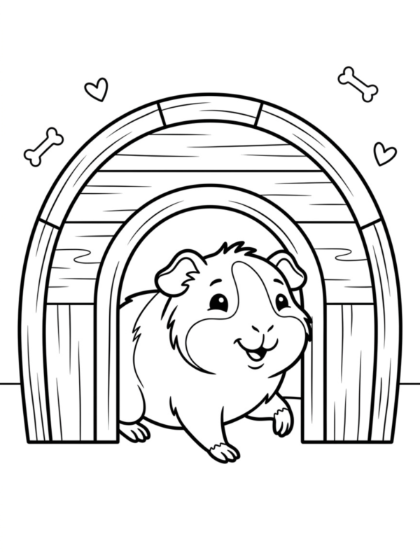 Wooden Igloo House